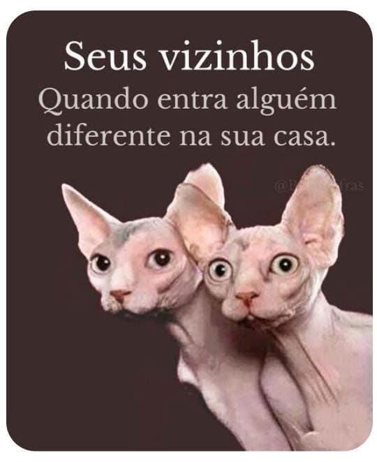 Ir Para